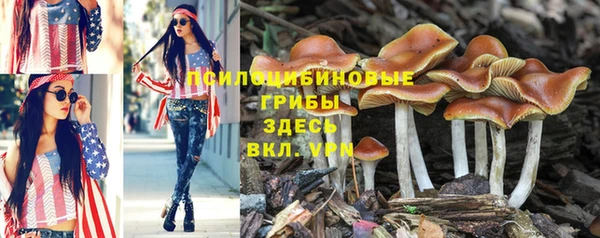 а пвп мука Верхний Тагил
