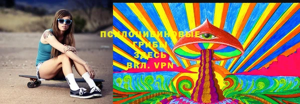 тгк Володарск
