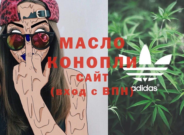 тгк Володарск