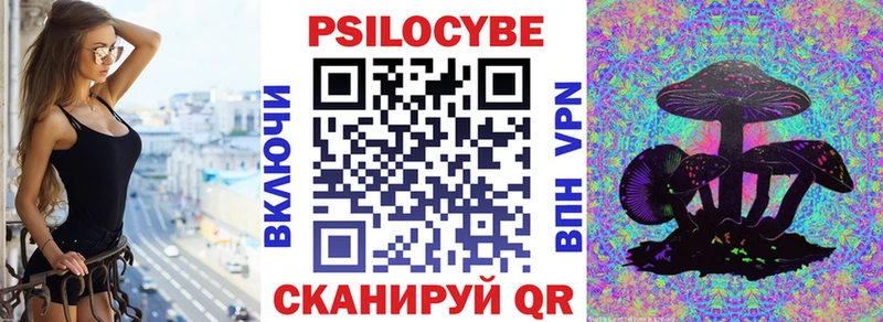 Галлюциногенные грибы Cubensis  как найти   Зеленоградск 