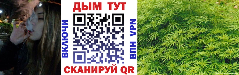 Шишки марихуана VHQ  где продают   Зеленоградск 
